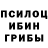 Галлюциногенные грибы Cubensis Kodek