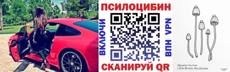 Псилоцибиновые грибы Cubensis  Бабаево 